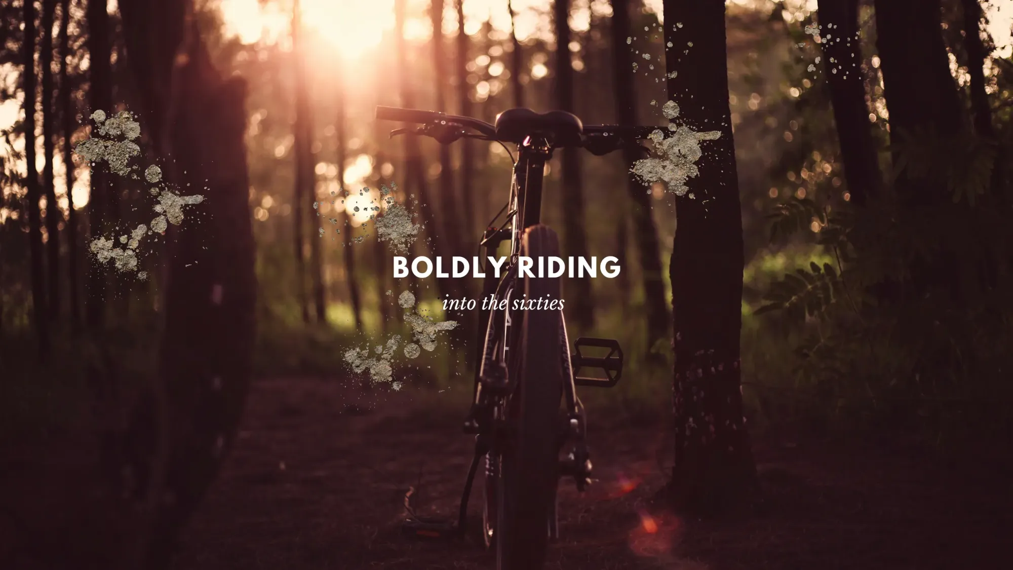 Boldly Riding